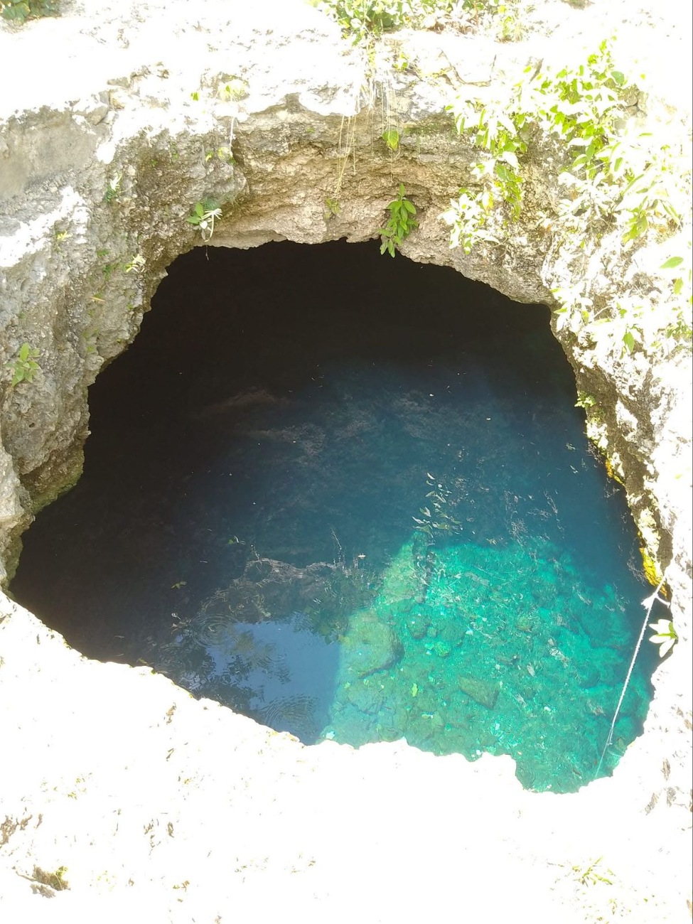 Alumno de la UADY de de Derecho muere ahogado en el cenote de la universidad. Alumno de la UADY de de Derecho muere ahogado en el cenote de la universidad.