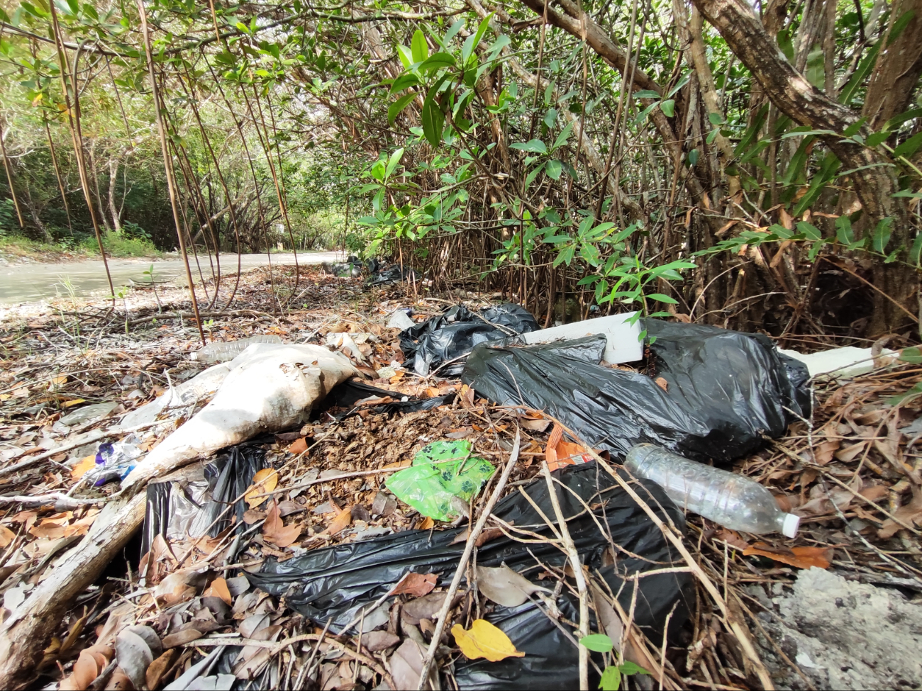 En la laguna abundan materiales reciclables, como plásticos, evidencia la falta de conciencia ambiental de la gente En la laguna abundan materiales reciclables, como plásticos, evidencia la falta de conciencia ambiental de la gente
