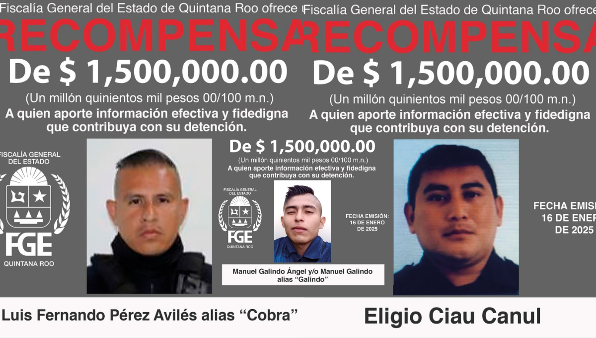 Fichas de búsqueda Fichas de búsqueda