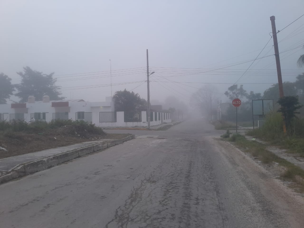 La neblina comenzó a disiparse pasadas las 8:00 horas La neblina comenzó a disiparse pasadas las 8:00 horas