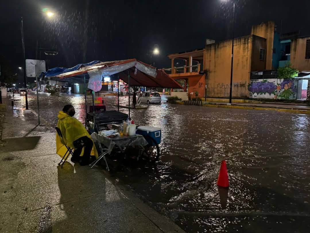 Pese a las condiciones climatológicas, algunos comerciantes siguieron laborando Pese a las condiciones climatológicas, algunos comerciantes siguieron laborando