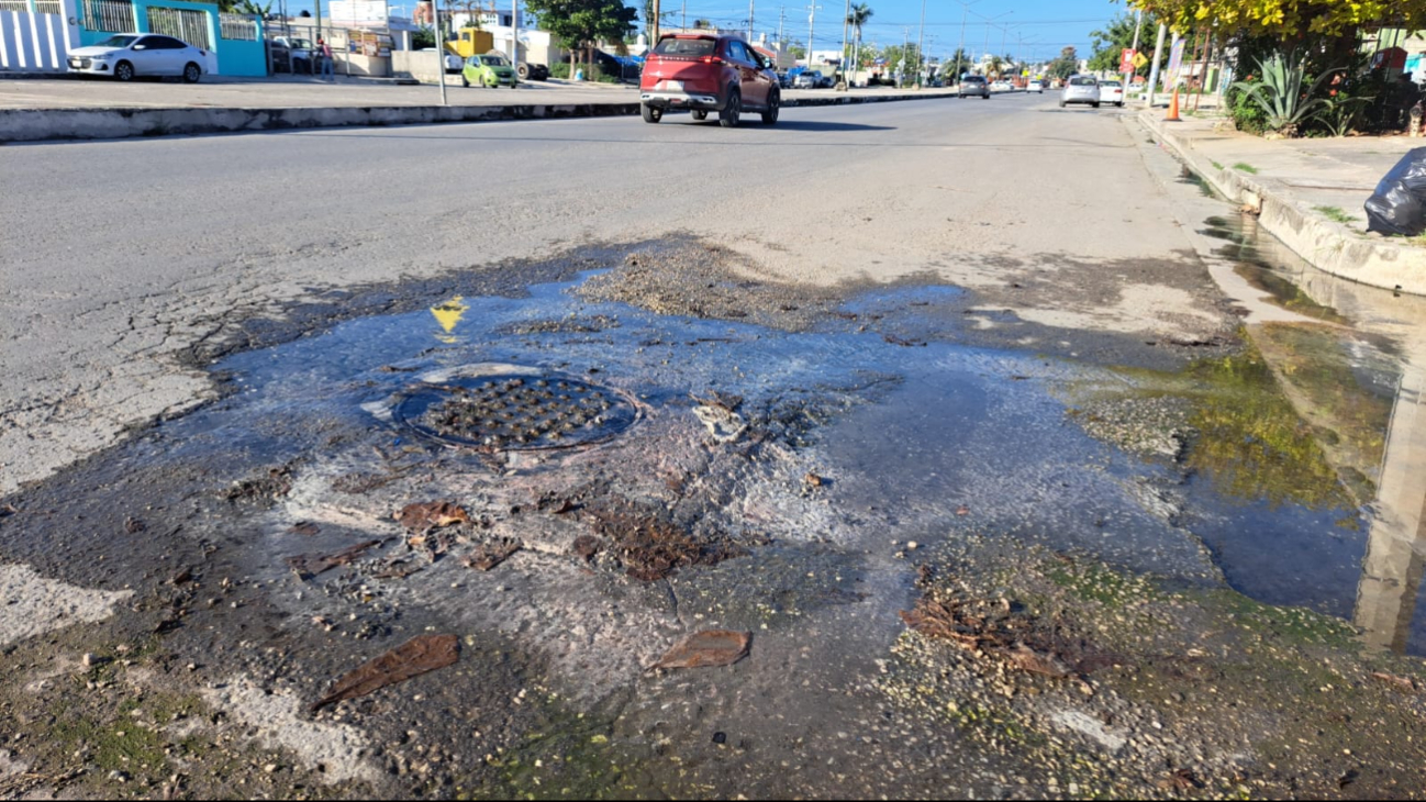 Vecinos piden solución al Ayuntamiento de Campeche, pero son ignorados Vecinos piden solución al Ayuntamiento de Campeche, pero son ignorados