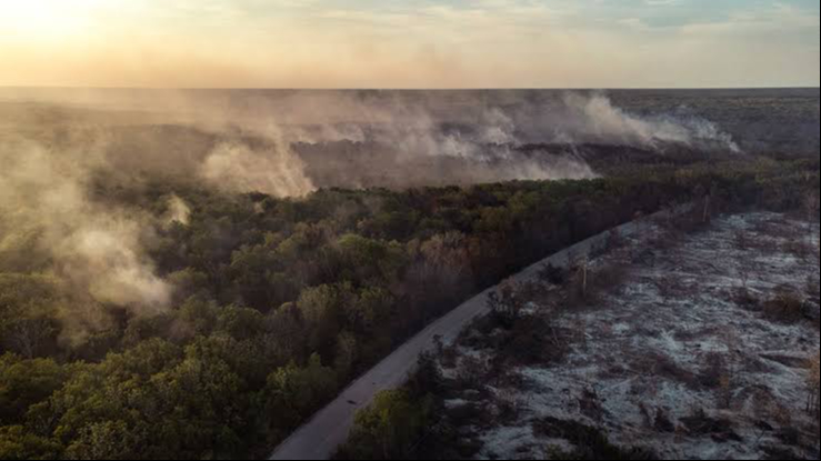 Alistan estrategias previo a la temporada de incendios forestales Alistan estrategias previo a la temporada de incendios forestales