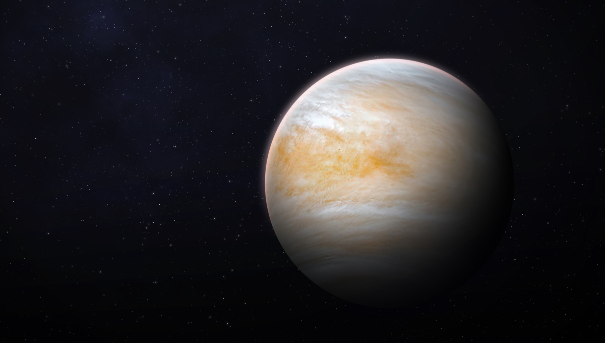 l 12 de enero, Venus estará en su fase de dicotomía, visible al anochecer l 12 de enero, Venus estará en su fase de dicotomía, visible al anochecer