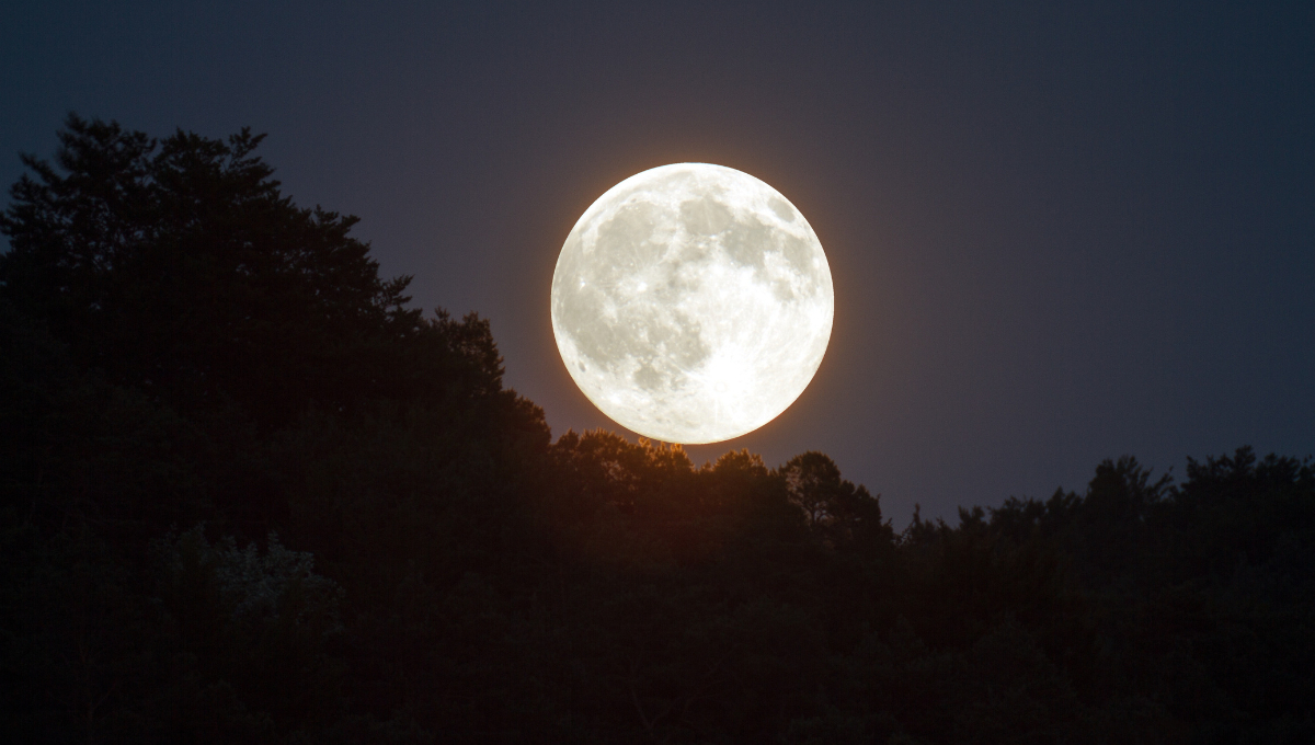 La Luna Llena se observará el 13 de enero, también conocida como Luna de Lobo La Luna Llena se observará el 13 de enero, también conocida como Luna de Lobo