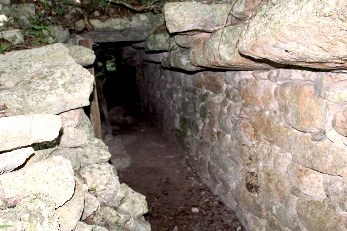 Las iniciativas impulsadas por Pedro y Claudio Cupul Hau, quieren la ayuda gubernamental para concretar el proyecto Las iniciativas impulsadas por Pedro y Claudio Cupul Hau, quieren la ayuda gubernamental para concretar el proyecto