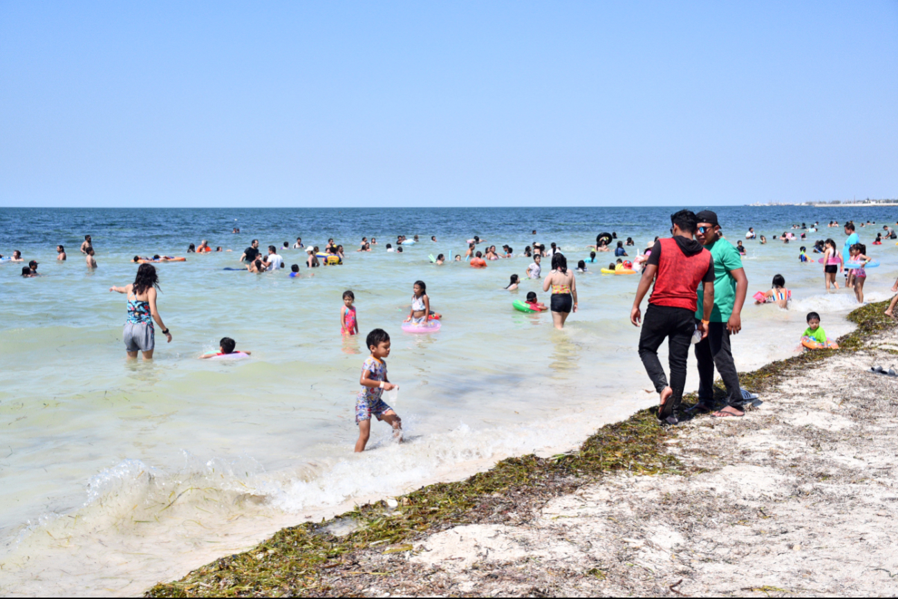 Previo a los periodos vacacionales efectúan hasta seis muestreos en cada una de las playas para proteger a los bañista Previo a los periodos vacacionales efectúan hasta seis muestreos en cada una de las playas para proteger a los bañista