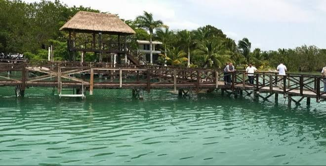 Santuario del Manatí es un sitio importante para la preservación de la especie Santuario del Manatí es un sitio importante para la preservación de la especie