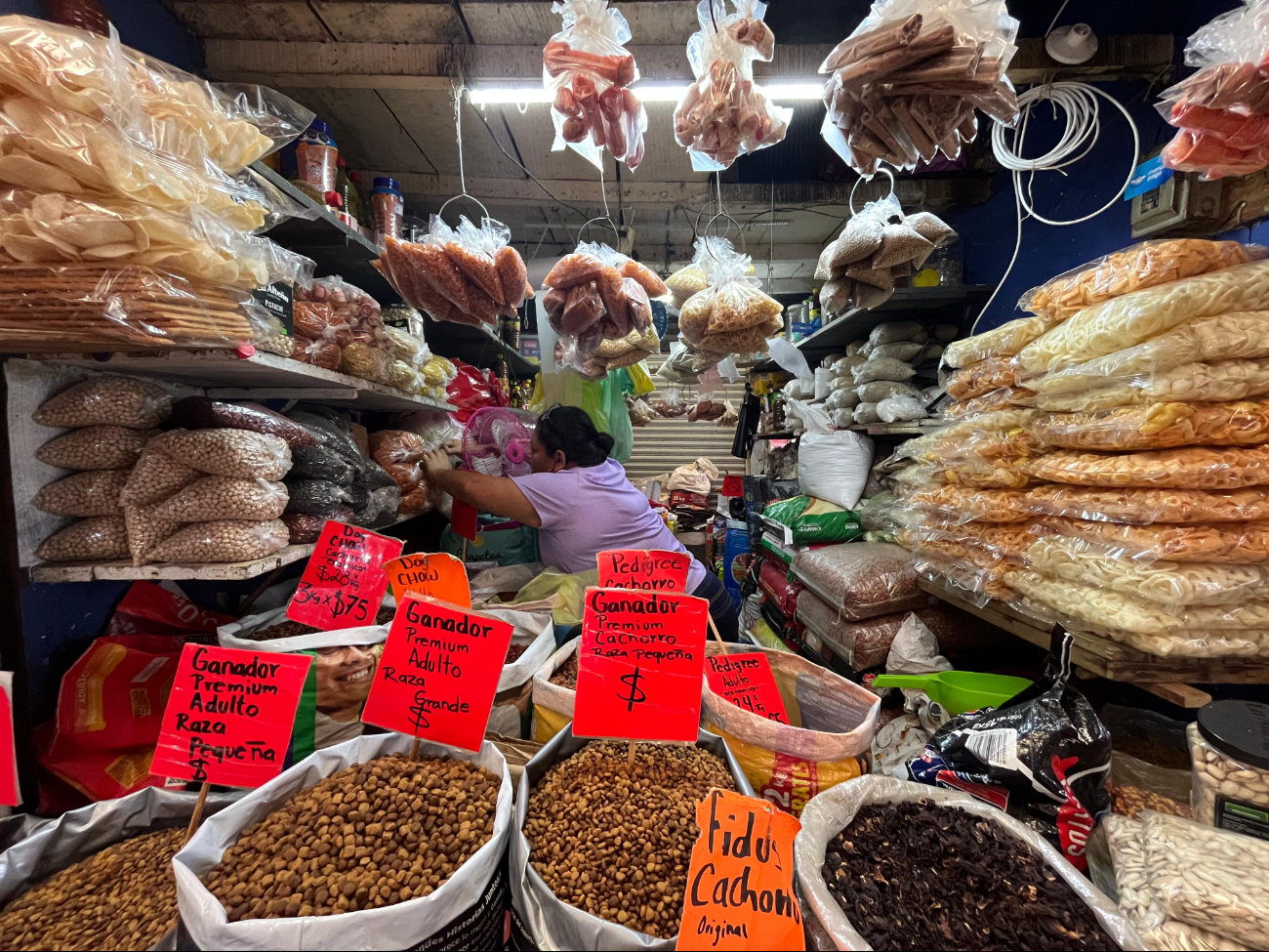 Una de las alternativas para lograr conservar el maíz palomero mexicano es adquirirlo en los mercados locales Una de las alternativas para lograr conservar el maíz palomero mexicano es adquirirlo en los mercados locales