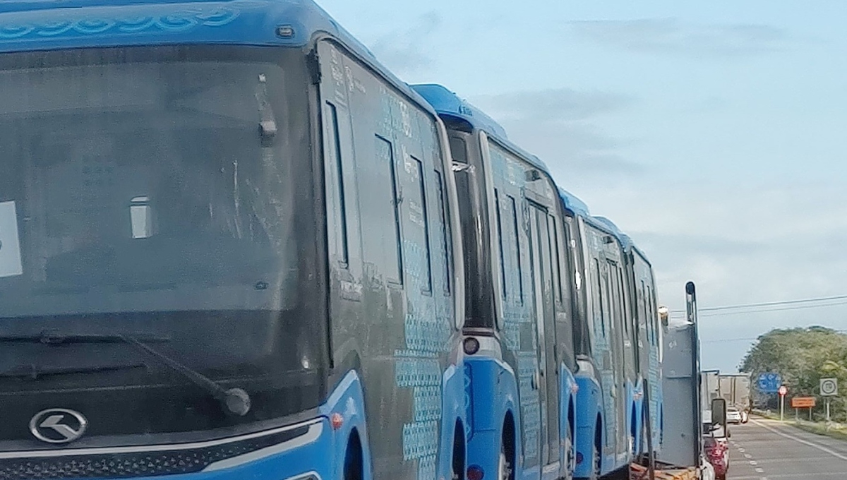    Comienza la llegada de los nuevos Va y Ven bebés para las rutas nocturnas de Mérida  