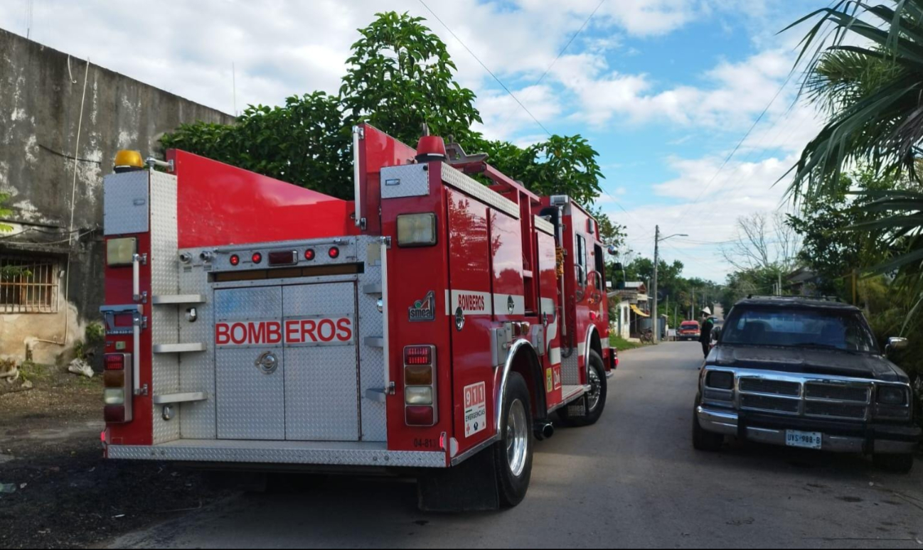 Debido a la conducta de las abejas, bomberos no lograron la captura de la colonia, por lo que pidieron a los vecinos no salir de sus casas. Debido a la conducta de las abejas, bomberos no lograron la captura de la colonia, por lo que pidieron a los vecinos no salir de sus casas.