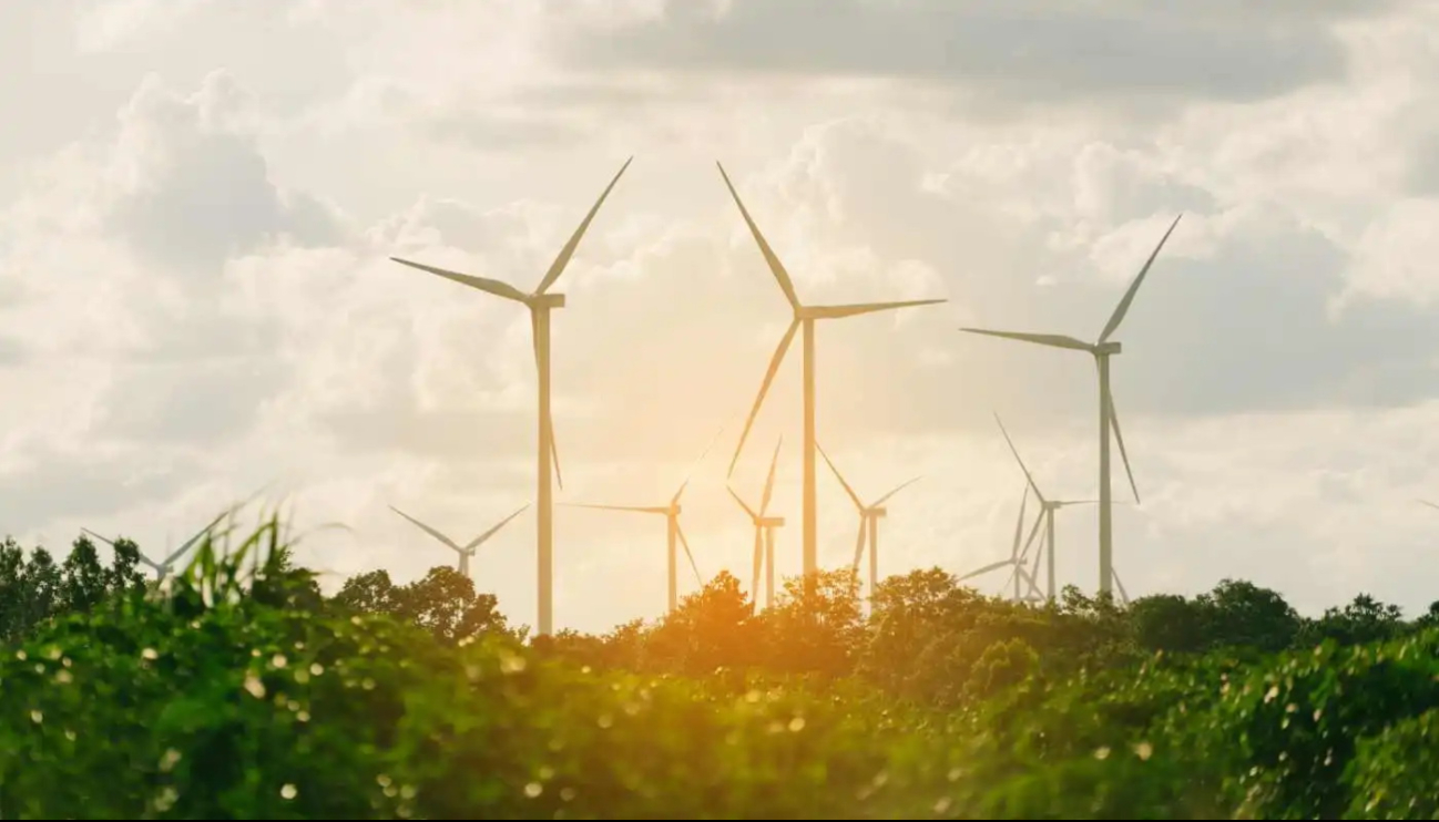  Al menos 30 empresas apalabran inversiones por 3 mil mdd en Yucatán con proyectos de   recursos solares y eólicos  