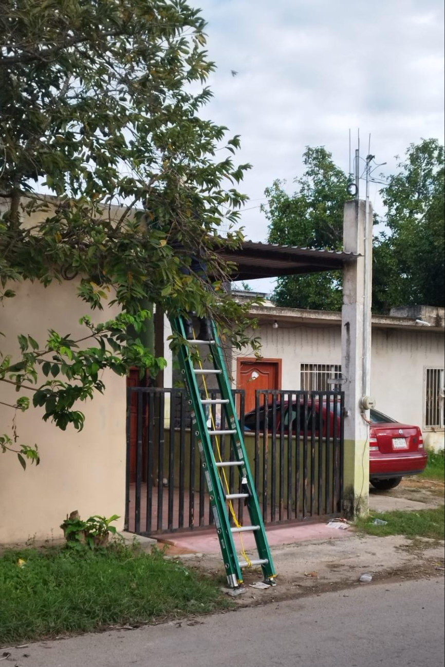 Habitantes de la colonia deberán esperar unas horas para el traslado del panal Habitantes de la colonia deberán esperar unas horas para el traslado del panal