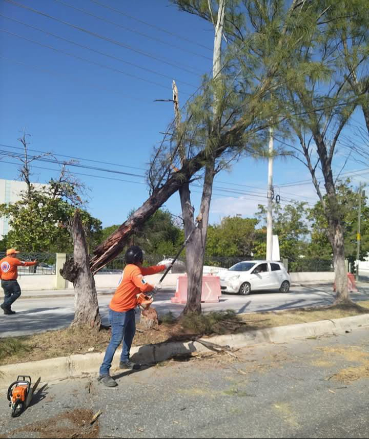 Más de 12 afectaciones por frente frío 24 Más de 12 afectaciones por frente frío 24