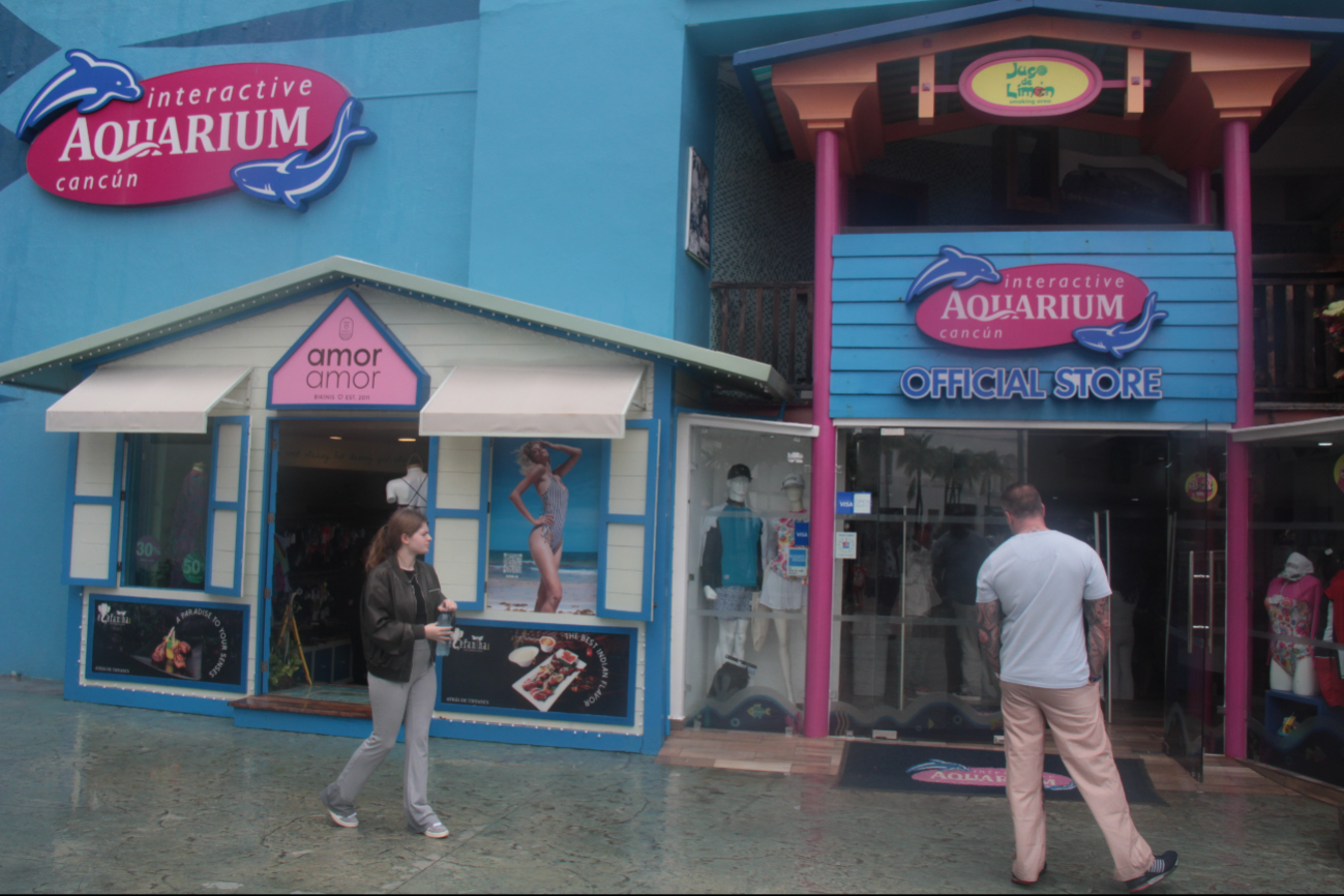 Convocan manifestaciones por muerte de dos delfines en hotel de la Riviera Maya