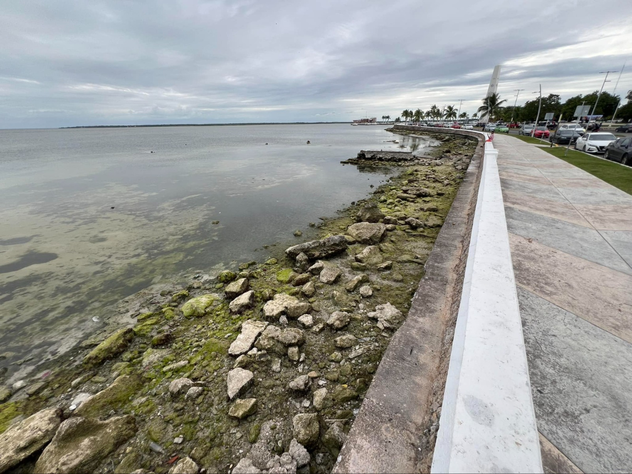 El agua de la bahía se retira hacia el interior. El agua de la bahía se retira hacia el interior.
