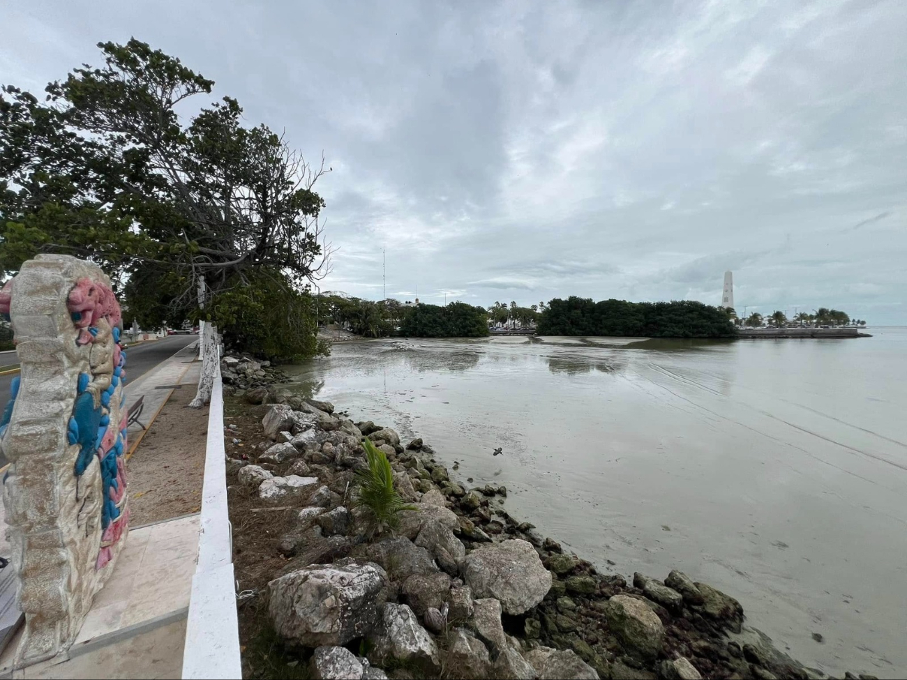 El frente frío presenta cambios en el ecosistema de Chetumal. El frente frío presenta cambios en el ecosistema de Chetumal.