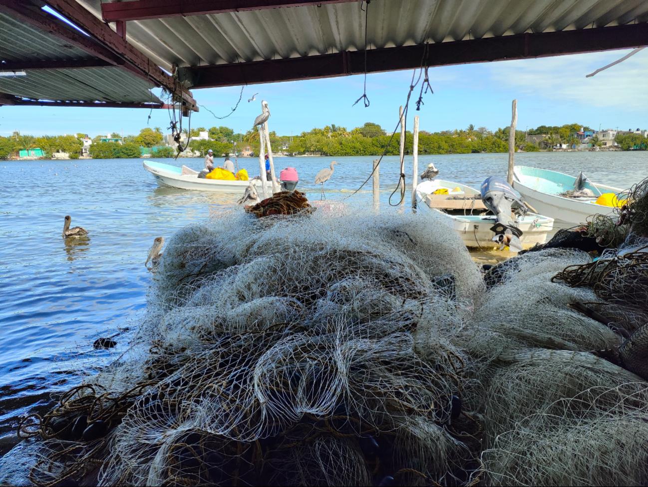  Pescadores de Campeche aseguran que son atacados y arrojados al mar para robarles su lancha   