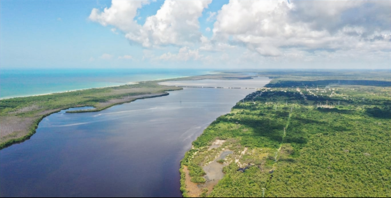 La Sociedad de Producción Acuícola “Laguna de Chacahito” planea proteger 50 hectáreas en Estero Pargo La Sociedad de Producción Acuícola “Laguna de Chacahito” planea proteger 50 hectáreas en Estero Pargo