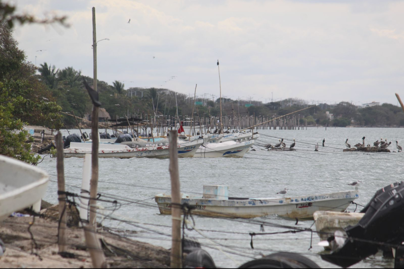 Clima en Campeche este fin de semana:  Continuarán afectando las bajas temperaturas   