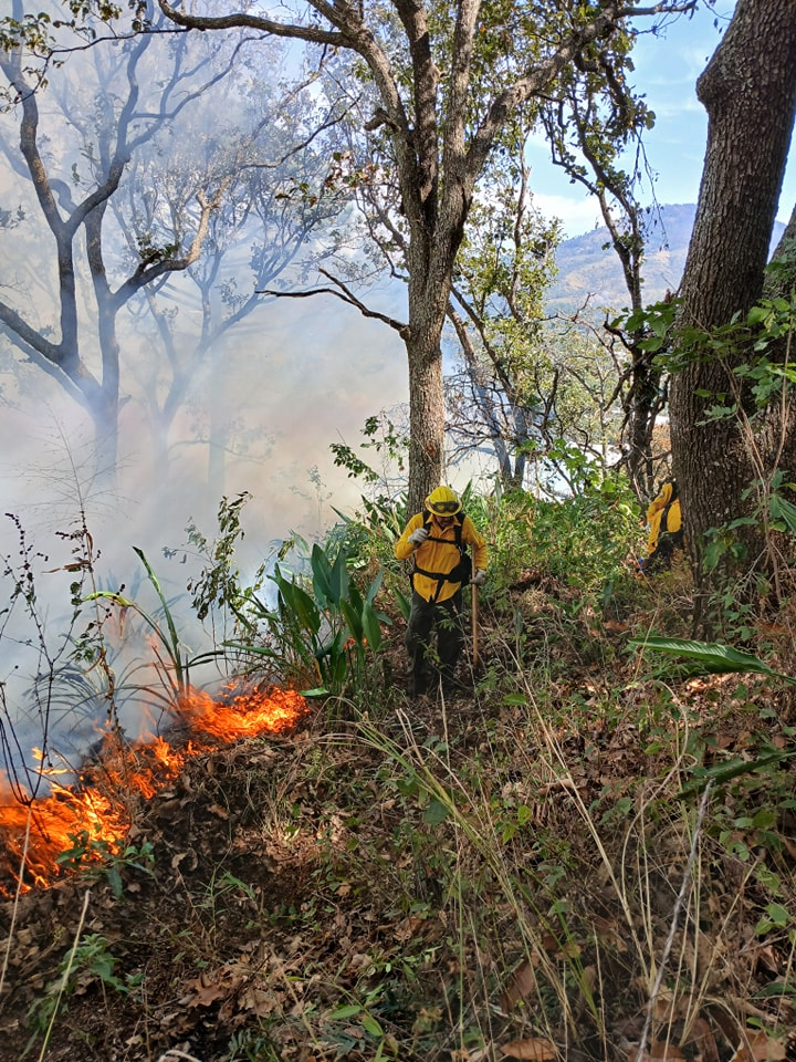 Habrá capacitaciones para mejorar habilidades  de los combatientes de fuego en Campeche