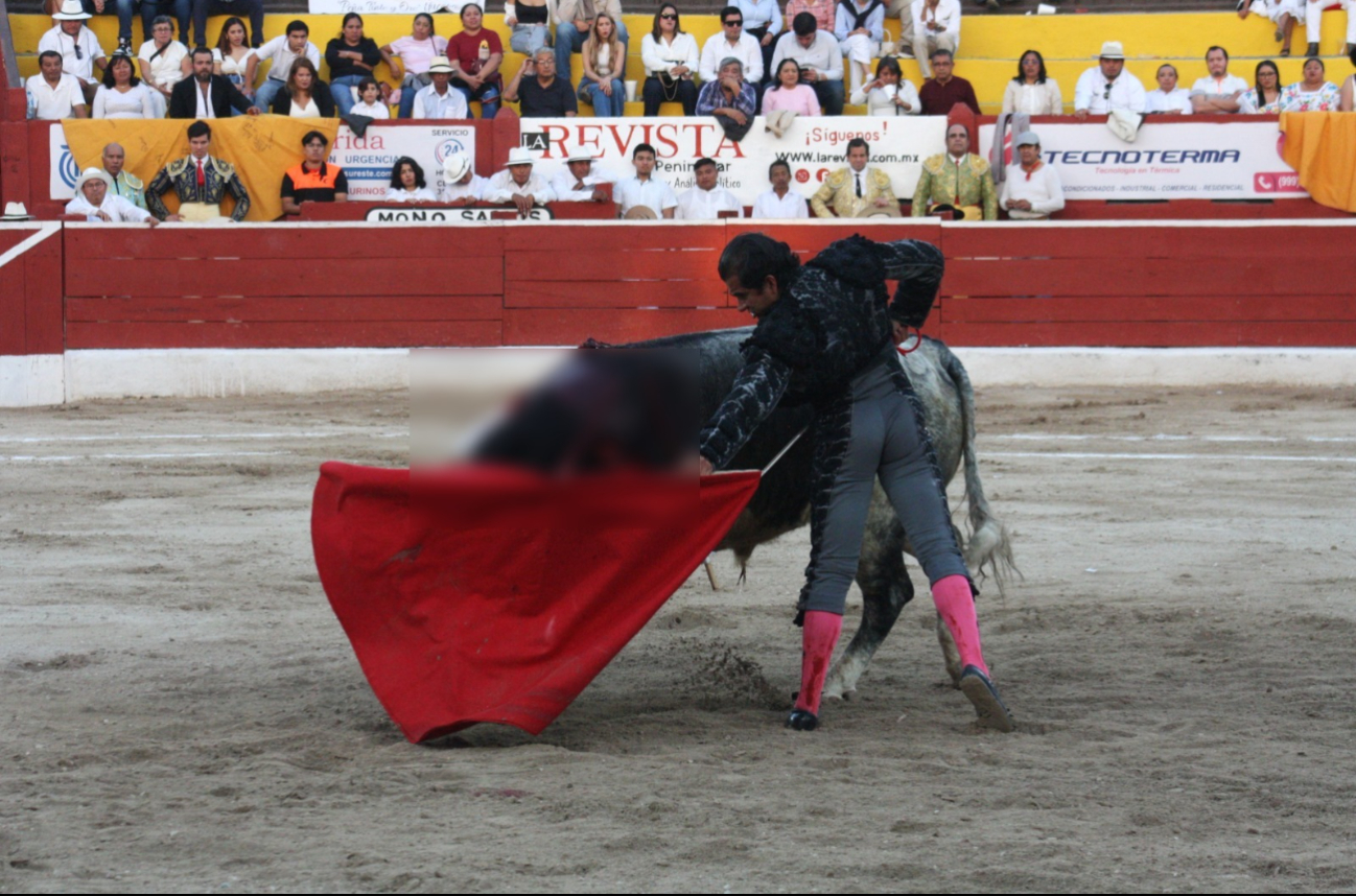 Joselito Adame y Sebastián Castella encabezaron las actividades Joselito Adame y Sebastián Castella encabezaron las actividades