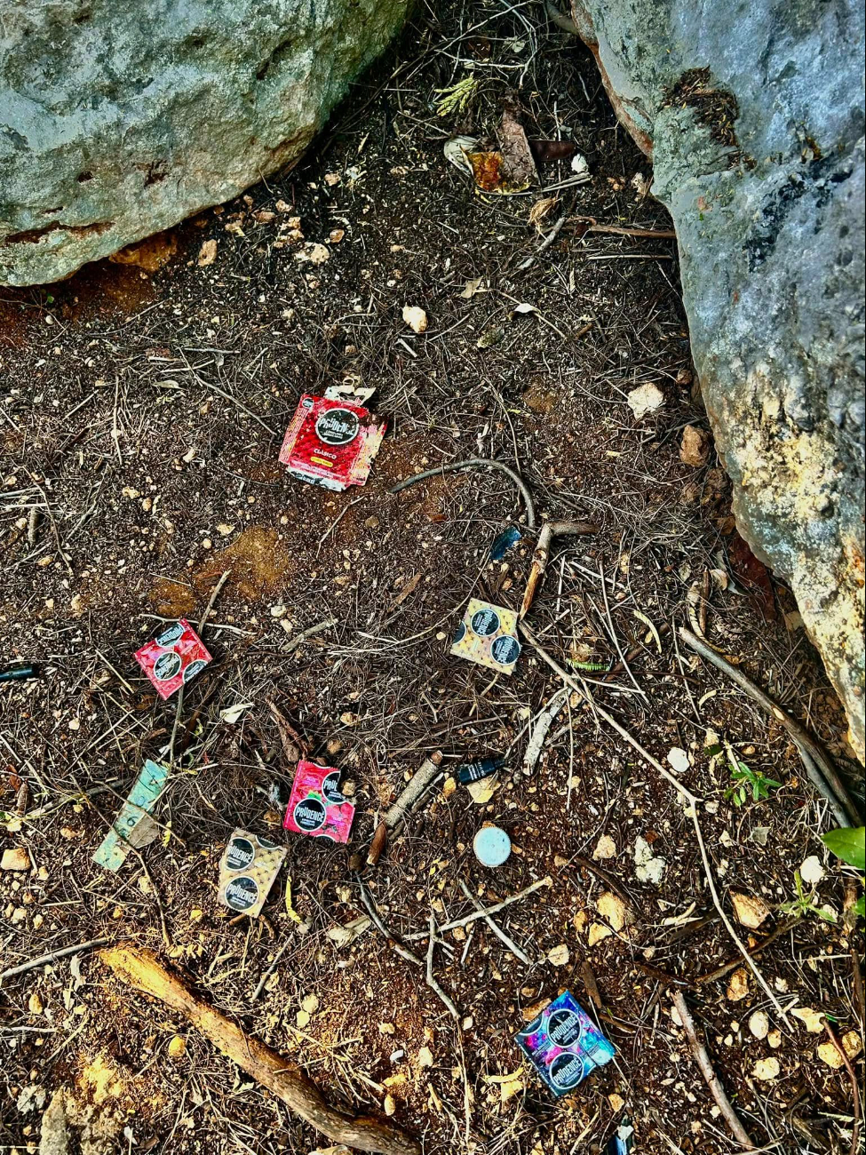 Se han hallado preservativos en las áreas verdes del Parque Japonés de Mérida Se han hallado preservativos en las áreas verdes del Parque Japonés de Mérida