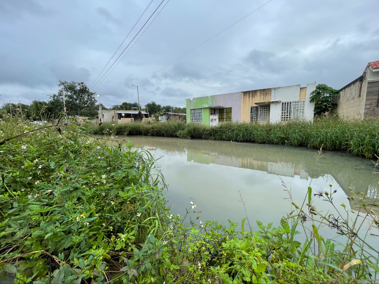 Inundaciones por drenajes colapsados afectan a vecinos de la colonia Bahía Real en Cancún 