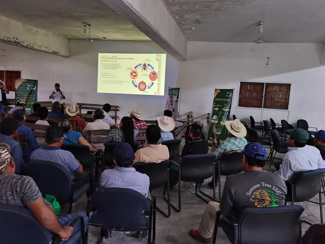 Por medio de talleres se informan sobre los contagios y como actuar ante uno Por medio de talleres se informan sobre los contagios y como actuar ante uno