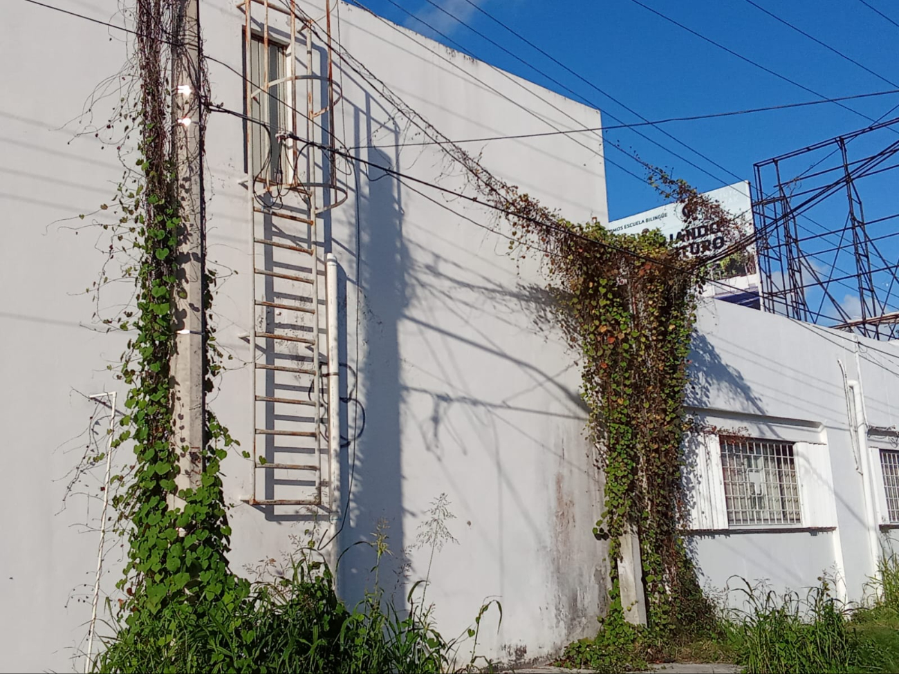 Cables colgantes preocupan a los ciudadanos de Chetumal. Cables colgantes preocupan a los ciudadanos de Chetumal.