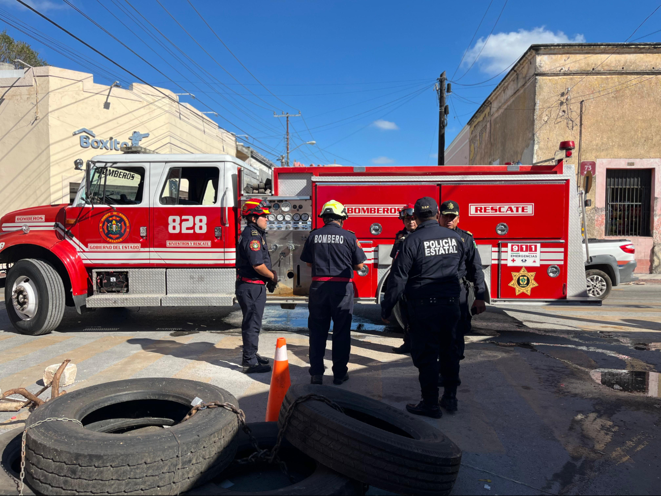 Confunden zarigüeya muerta con una fuga de gas en la calle 62 del Centro de Mérida 