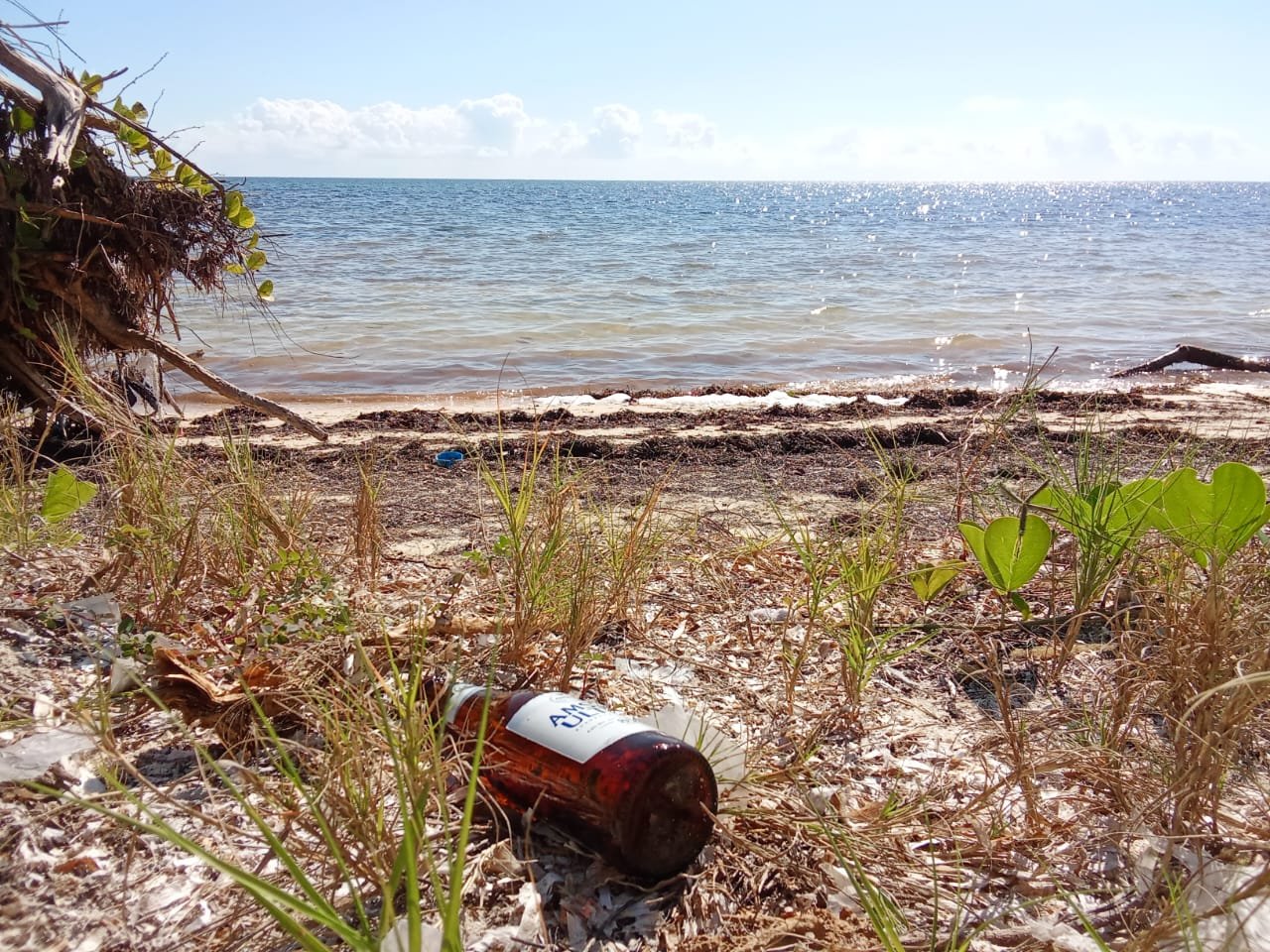Falta de vigilancia en Playa Coral de Cancún provoca su contaminación