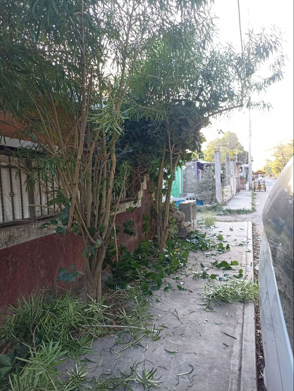 En Motul, la gente pidió ayuda policiaca por la presencia de un tipo que con una coa lanzaba tajos al aire En Motul, la gente pidió ayuda policiaca por la presencia de un tipo que con una coa lanzaba tajos al aire