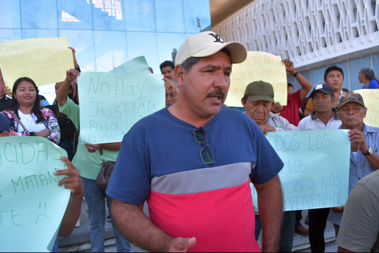 A dos años de la muerte masiva de abejas aún no hay sanciones para los responsables