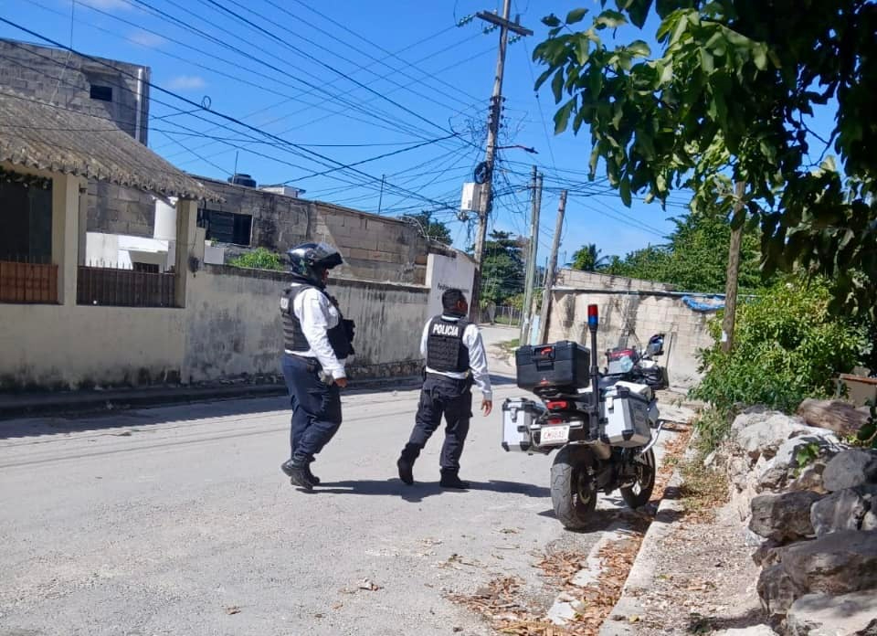 Abren carpeta de investigación por atropellamiento de canino en Campeche