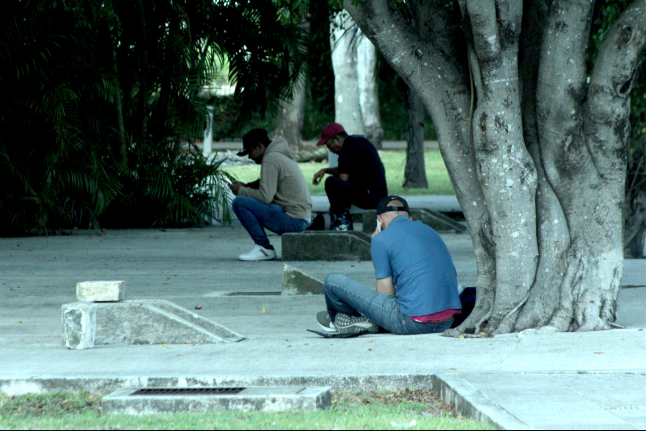 La joven permanece en la zona de jardines; algunas personas le comparten alimentos La joven permanece en la zona de jardines; algunas personas le comparten alimentos