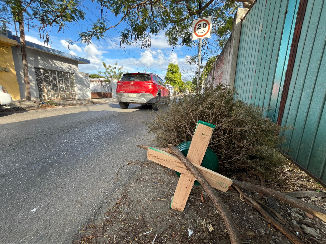 Algunas personas optan por desechar los árboles de navidad en la vía pública Algunas personas optan por desechar los árboles de navidad en la vía pública