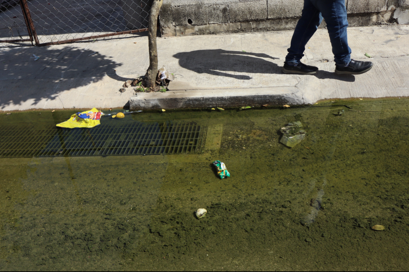 Las calles incluso tienen agua verde por las fugas Las calles incluso tienen agua verde por las fugas