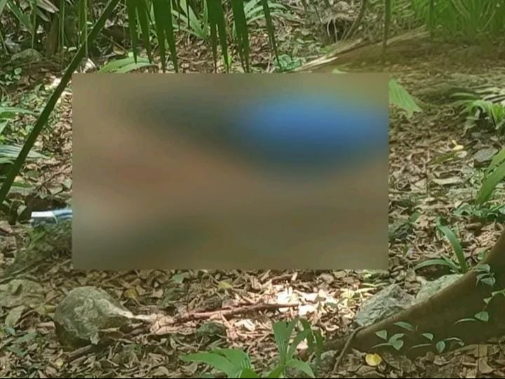 Hallan sin vida a un hombre con una herida por arma de fuego en Chankom