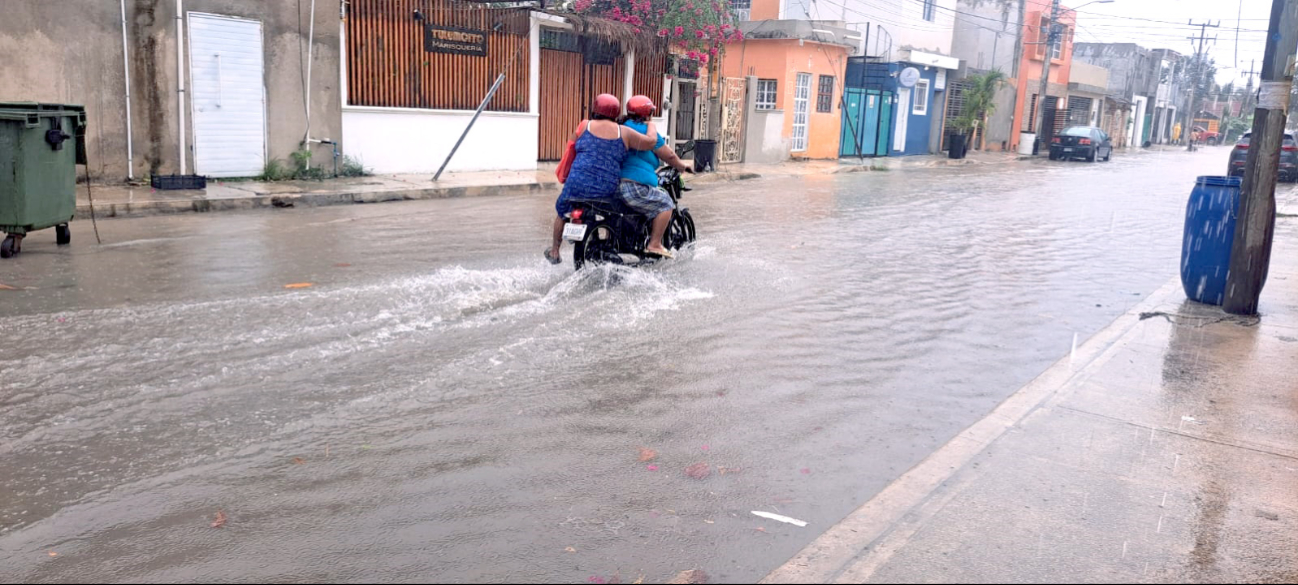Las más afectadas son las colonias La Veleta, Tumben Kah y zonas céntricas, en donde señalan que este tipo de situaciones ya son habituales. Las más afectadas son las colonias La Veleta, Tumben Kah y zonas céntricas, en donde señalan que este tipo de situaciones ya son habituales.