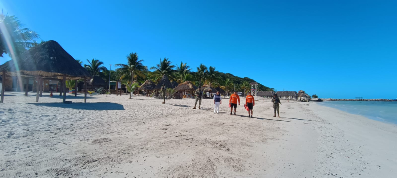 La Marina realizó 20 patrullajes de vigilancia marítima y 20 patrullajes terrestres La Marina realizó 20 patrullajes de vigilancia marítima y 20 patrullajes terrestres