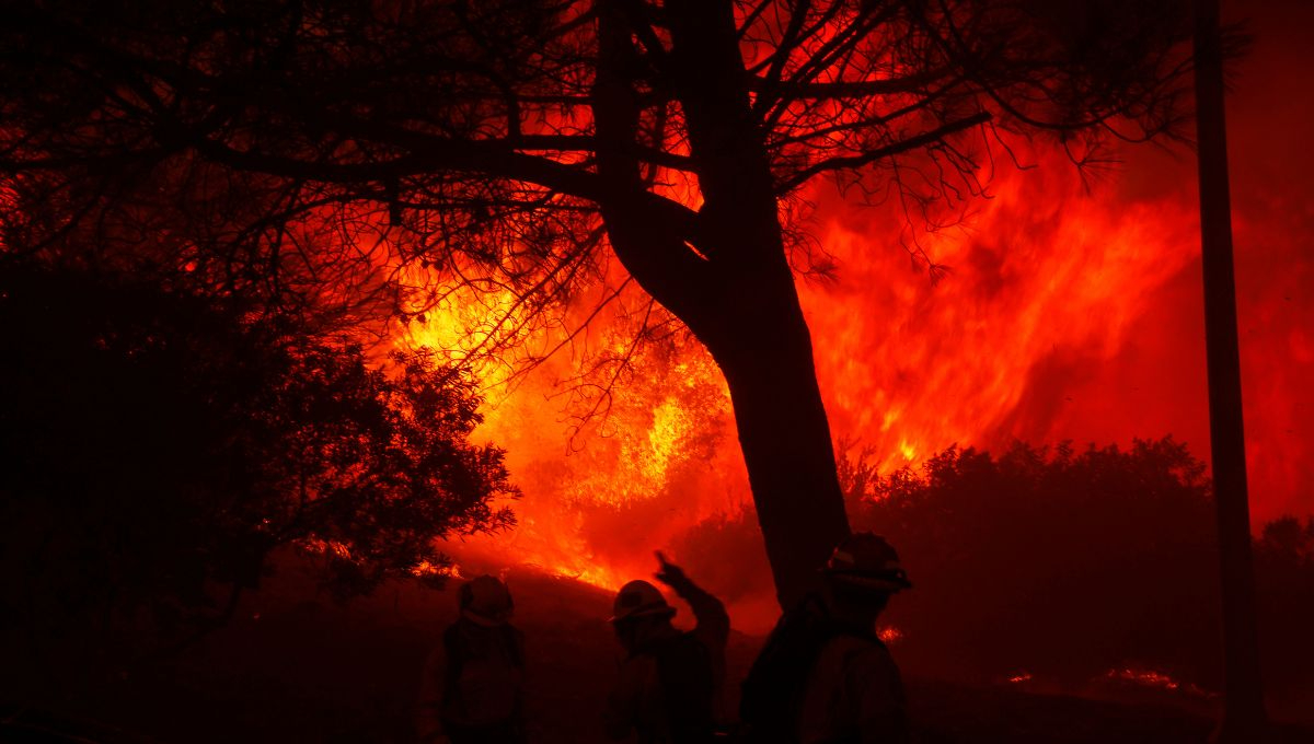 Los vientos, junto con las bajas temperaturas, dificultan el control de los incendios Los vientos, junto con las bajas temperaturas, dificultan el control de los incendios