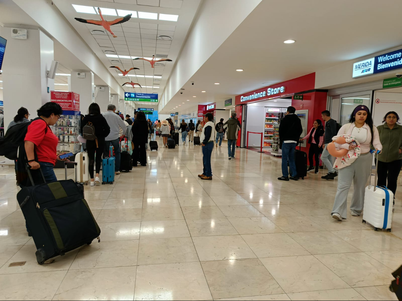 Los vuelos no han registrado afectaciones en la jornada Los vuelos no han registrado afectaciones en la jornada