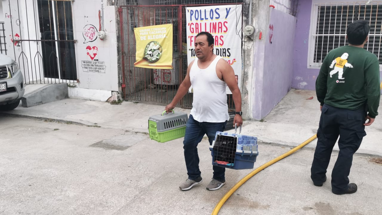 Vecinos rescataron a un canino y varios gatos del incendio Vecinos rescataron a un canino y varios gatos del incendio