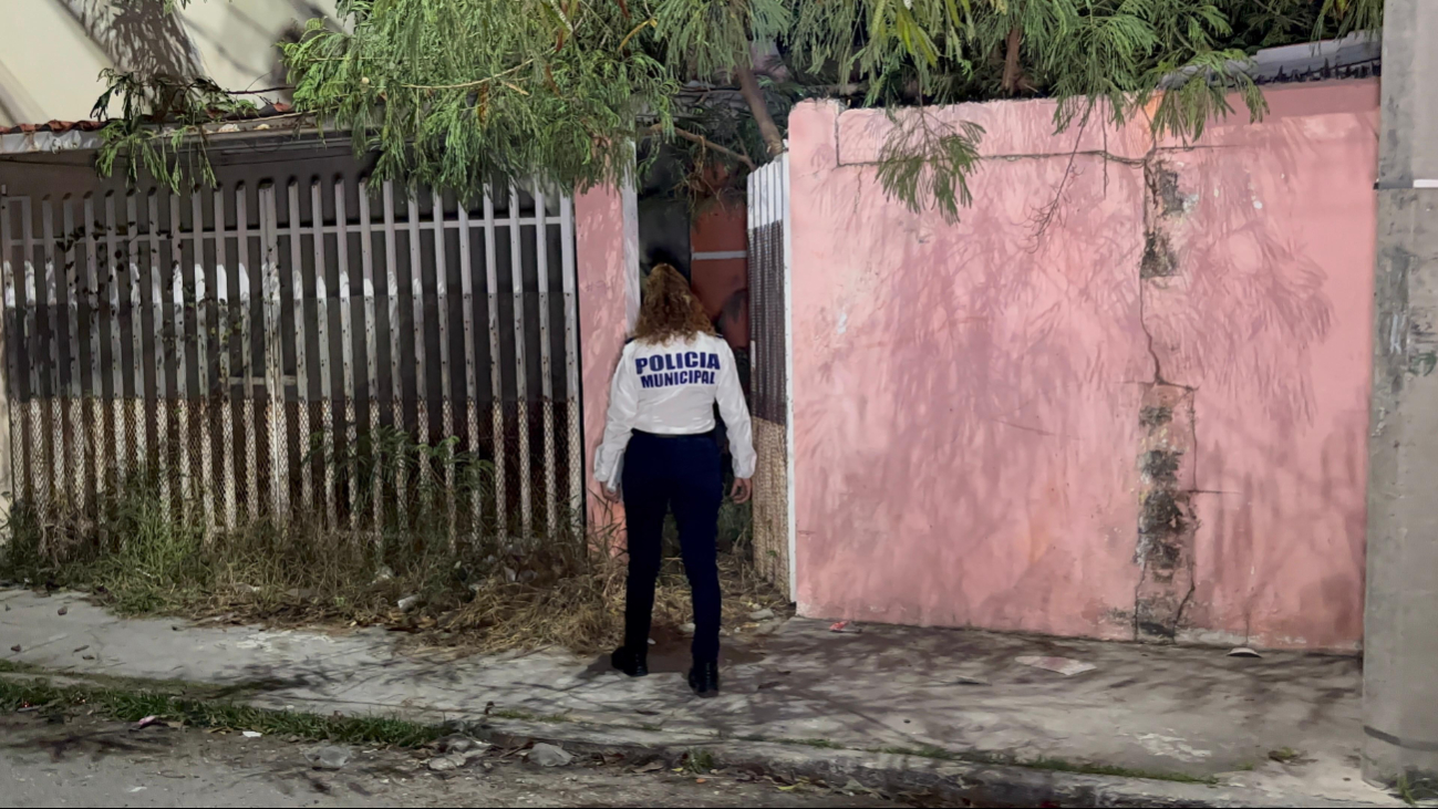 El presunto delincuente logró huir por la parte trasera del predio El presunto delincuente logró huir por la parte trasera del predio