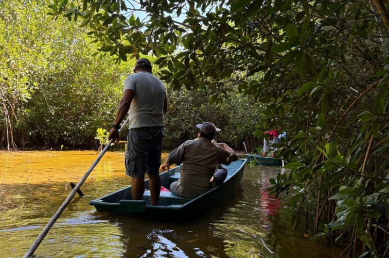 Familias de Sisal lideran la recuperación de manglares en Yucatán