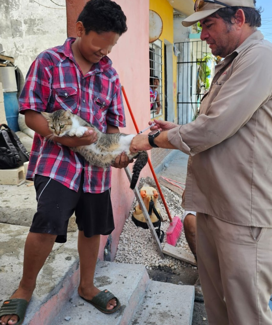 Jornada antirrábica en Campeche: protegen a perros y gatos en municipios y comunidades rurales
