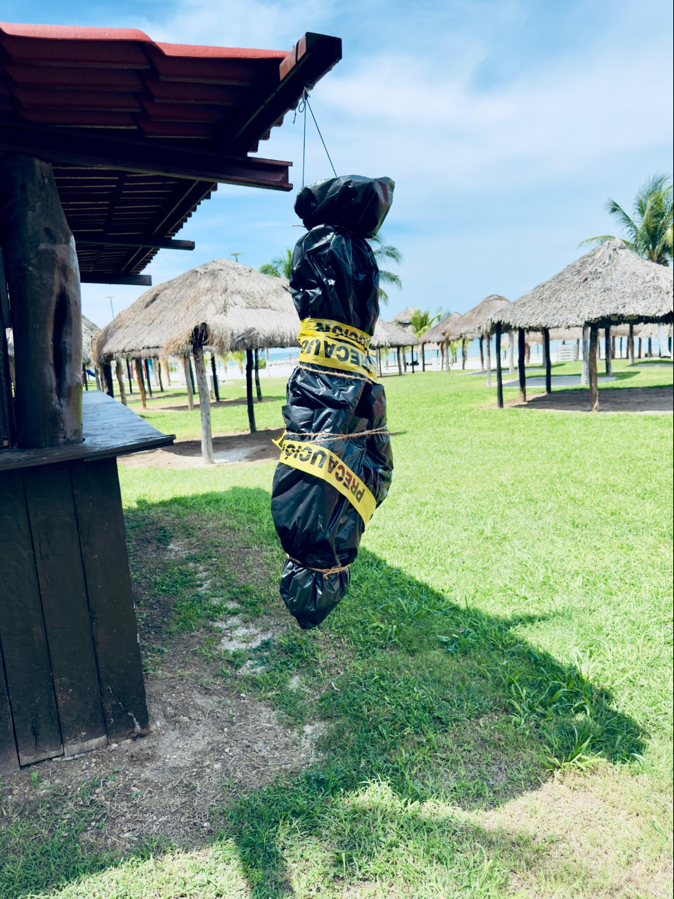 La campaña busca fortalecer el turismo familiar y ofrecer una experiencia visual distinta en la costa campechana.