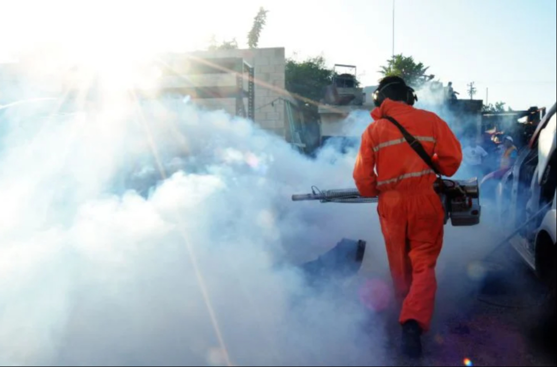 Para controlar el vector tienen que participar el gobierno, los municipios y la población