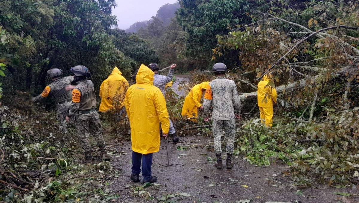 Ya se evalúan afectaciones por lluvias en Chiapas, Oaxaca, Michoacán y nuevamente Guerrero
